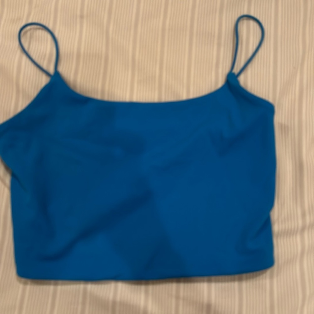 Blue garage tank